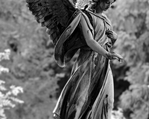 Cimiteri a Sesto San Giovanni cimiteri a sesto san giovanni